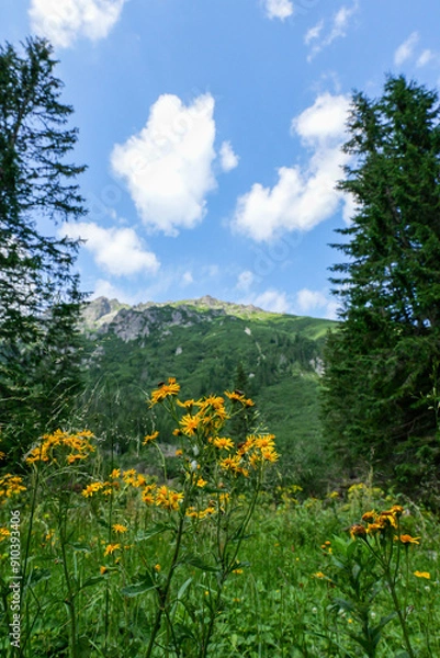 Obraz landscape with yellow flowers