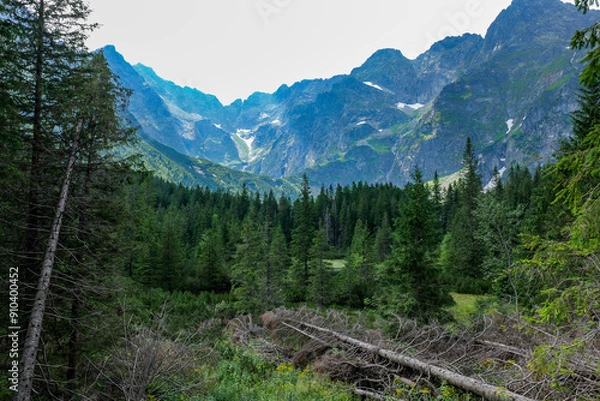 Obraz view from the top of the mountain
