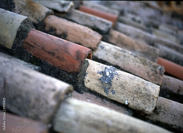 Obraz roof tiles