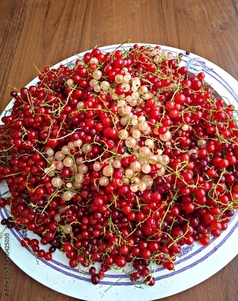 Obraz Red and white currants which are very healthy were collected from garden to make jam