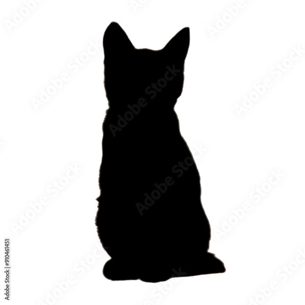 Fototapeta Cat Illustration | Cat Drawing | Cat Outline