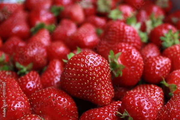 Obraz RED STRAWBERRIES