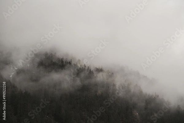 Obraz fog in the mountains