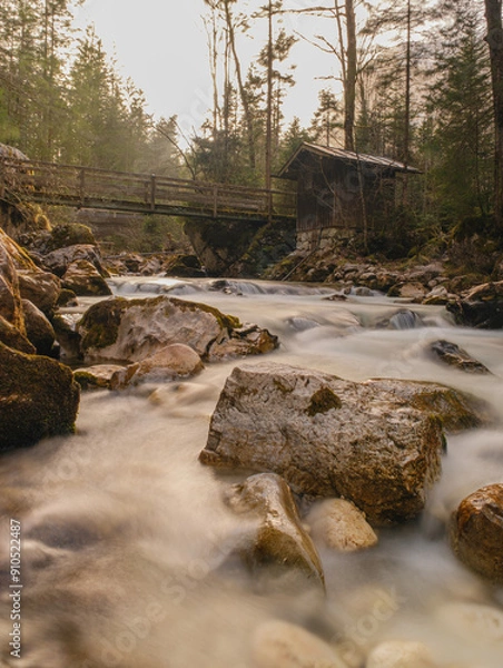 Obraz stream in the forest