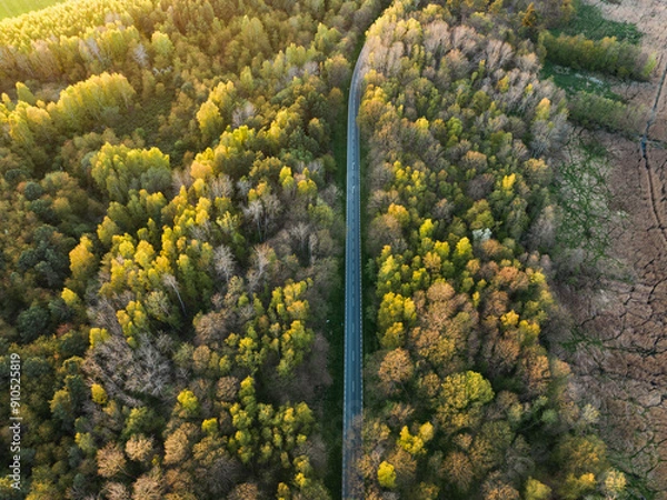 Obraz aerial view over forest and road