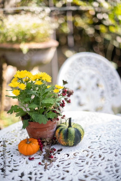 Obraz Dekorative Kürbisse