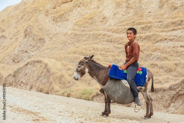 Obraz On the donkey 2
