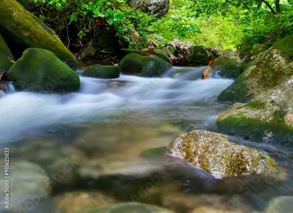 Fototapeta stream in the forest