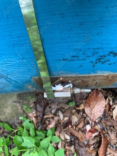 Obraz water drops on the ground