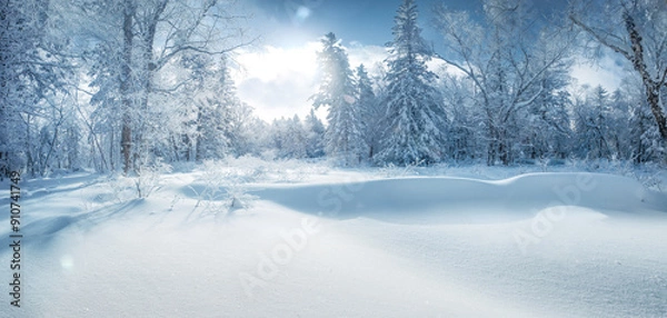 Fototapeta Winter panorama of forest with snow covered trees.