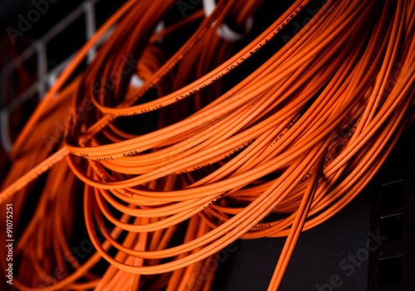 Obraz Orange Fiber optic close up