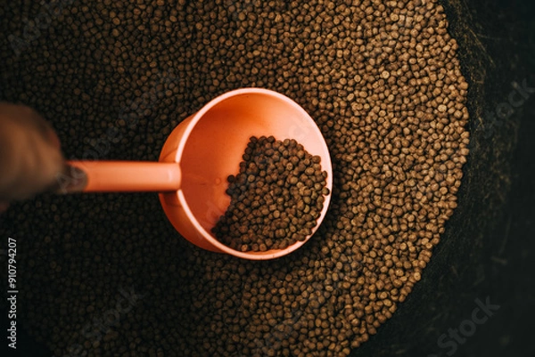 Fototapeta Pelleted feed in scoop for animals. Animal food close-up top view. Granulated food for dog or pelleted feed for fish . Copy Space background.