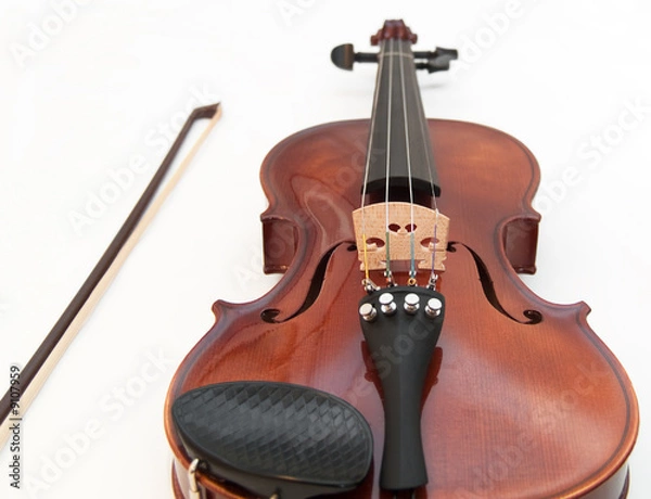 Obraz Violin and a bow, isolated on a white background.