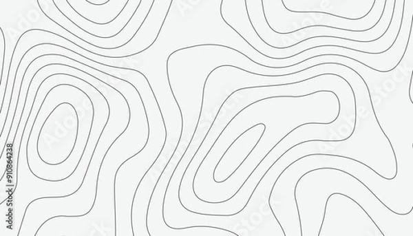 Fototapeta Background of the topographic map. Topographic map lines, contour background. Black and white abstract background.