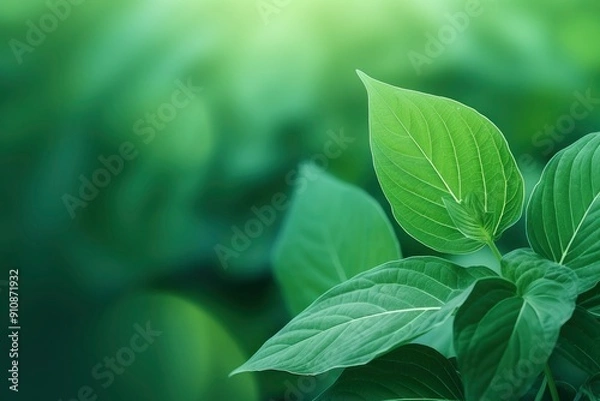 Obraz Modern close up of leaves on blurred green background. Premium background for banners or posters with generative ai