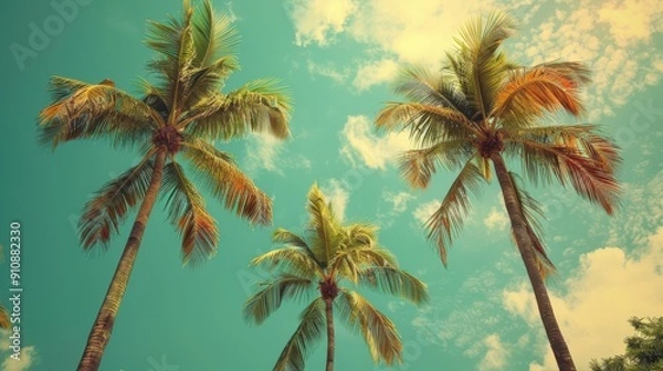 Fototapeta Palm Trees Against Green and Blue Sky