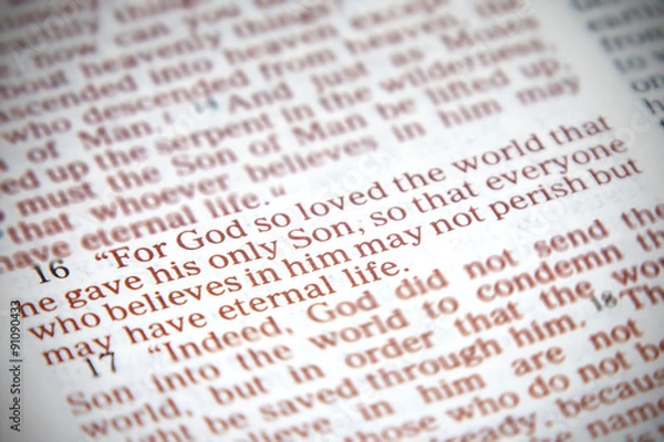 Obraz John 3:16 Bible Verse