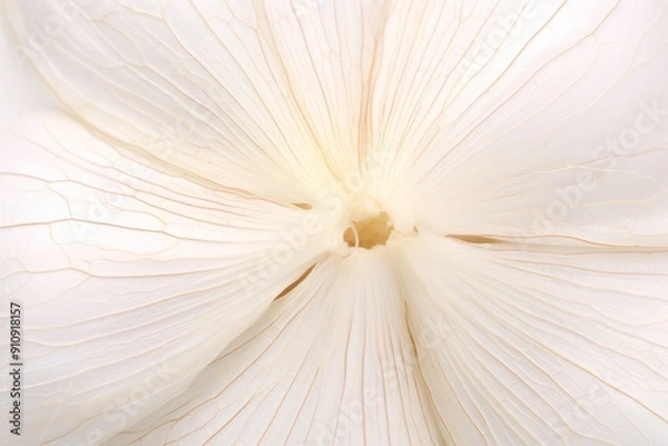 Fototapeta Macro photography of a garlic clove, capturing intricate details.