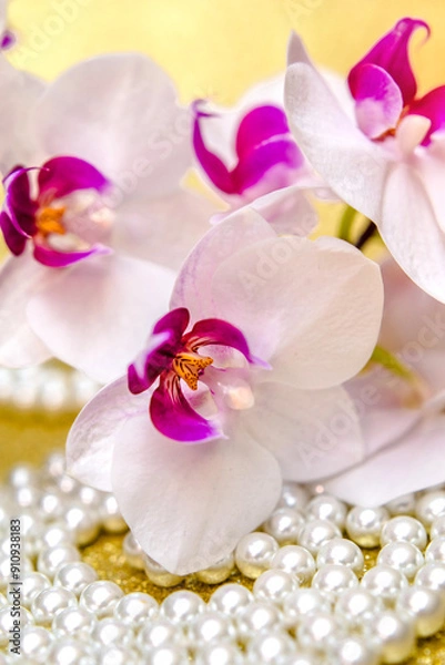 Fototapeta A branch of white orchids on a shiny gold background
