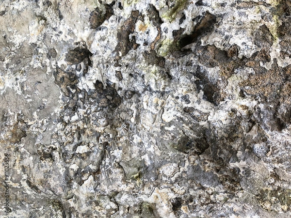 Fototapeta Designer texture, background. Cement or concrete background