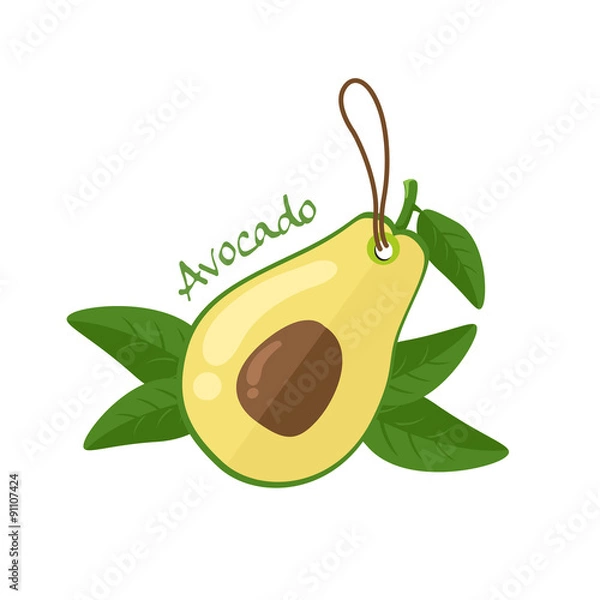 Obraz avocado vector illustration