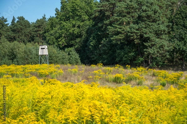 Fototapeta hunting tower among the trees and bushes