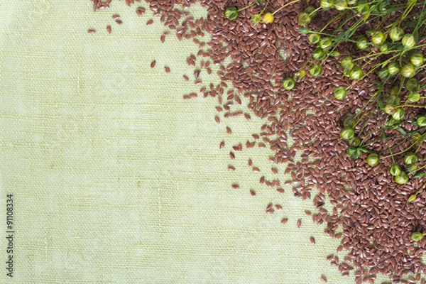 Fototapeta background of dry flax plant capsules and seeds on napkin.