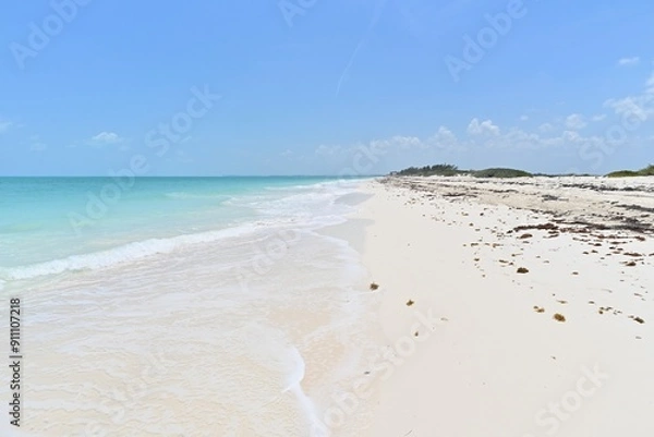 Fototapeta The beach