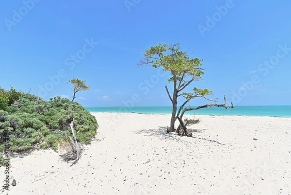 Fototapeta The beach