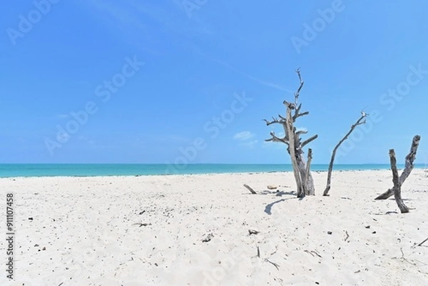 Fototapeta The beach