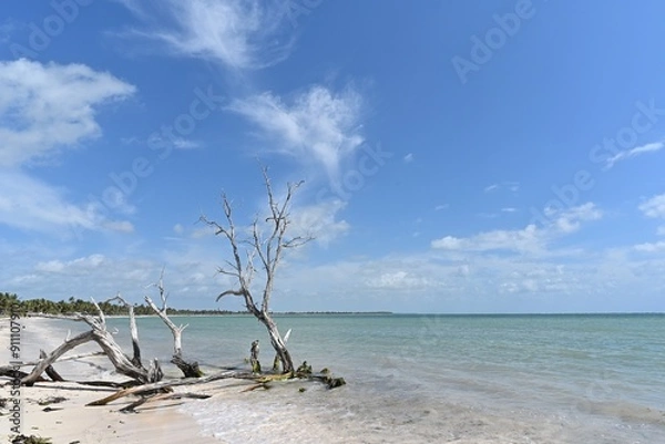 Fototapeta The beach