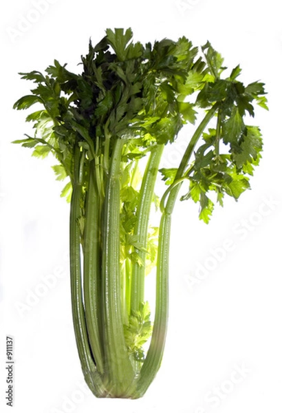 Fototapeta bunch of celery