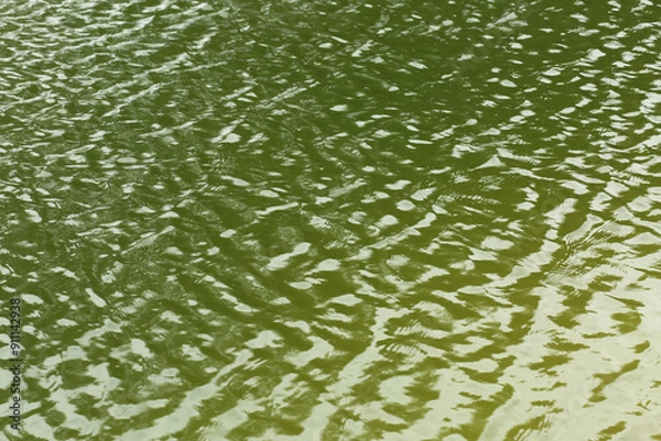 Fototapeta Green lake water ripples texture background