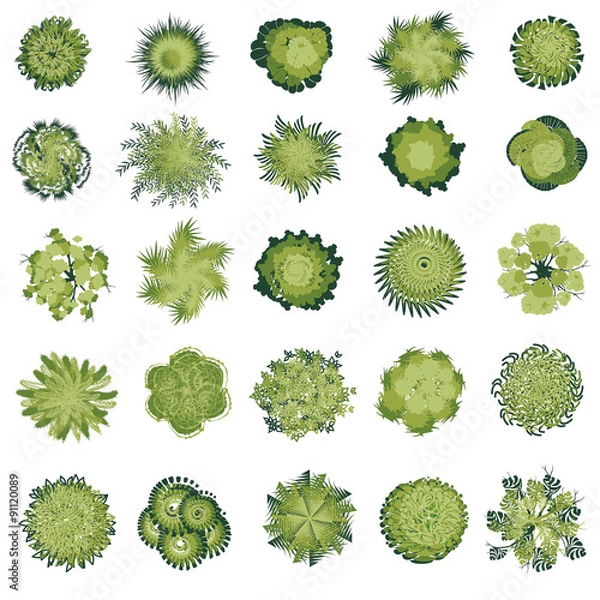 Fototapeta Trees and bush item top view for landscape design, vector icon.