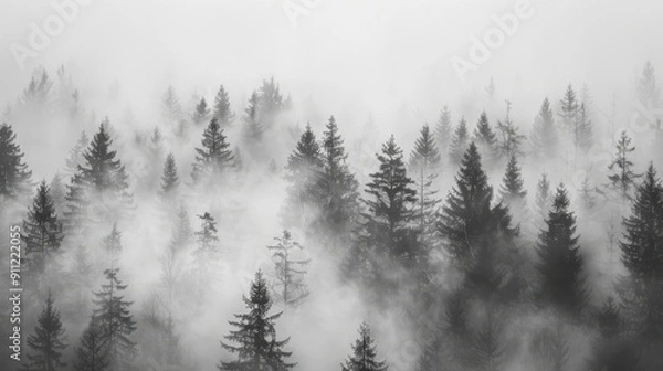 Fototapeta A monochrome background featuring a misty forest scene in black and white, with tall trees shrouded in fog creating a mysterious and atmospheric visual effect