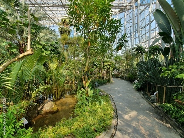 Obraz 한국의 공원 대전한밭공원