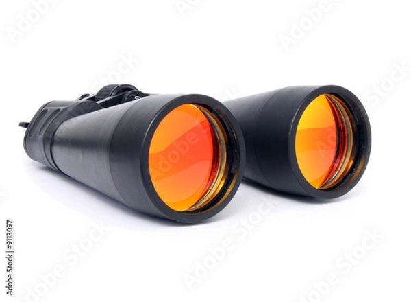 Obraz Binocular