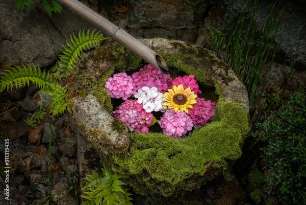 Fototapeta Wash basin with hydrangea and sunflower floating on water at a temple in Kyoto, Japan