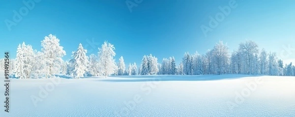 Fototapeta Serene winter landscape featuring a blanket of snow and frost-covered trees under a clear blue sky.