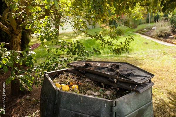 Obraz Small outdoor composting bin for recycling kitchen and garden organic waste