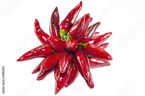 Obraz Peperoncini Rossi