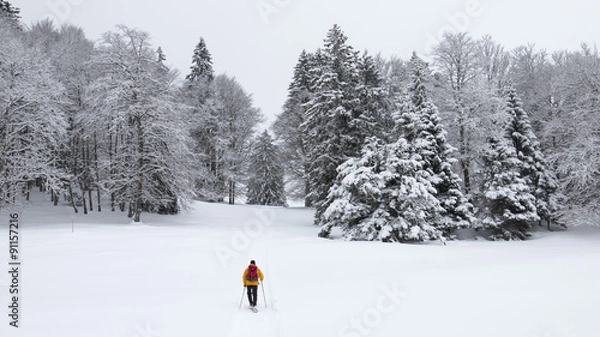Obraz raquettes dans le Jura Suisse