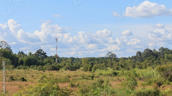 Fototapeta mobile phone tower located in the countryside 