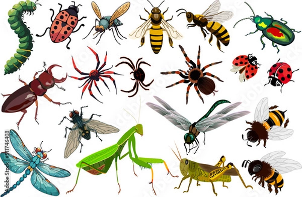 Obraz Collection of insects on a transparent background.Crawling and flying insects on a transparent background in a vector set.