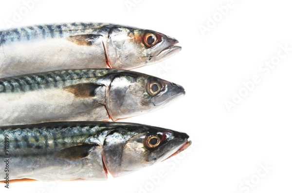Fototapeta Three mackerel heads isolated on a white background