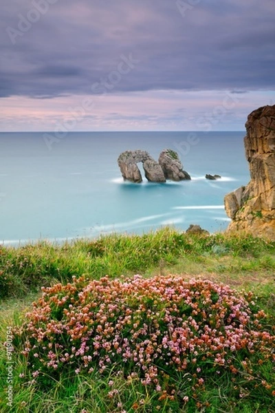 Fototapeta Flores y Mar