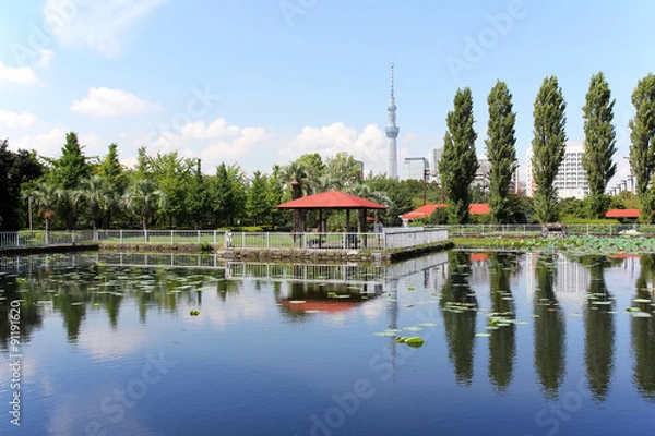 Fototapeta 猿江恩賜公園