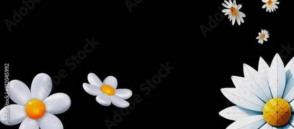 Obraz white daisies on black background illustration 
