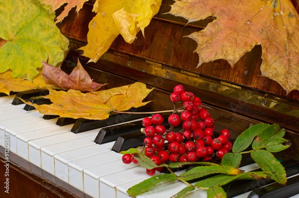 Obraz maple leaves on a piano