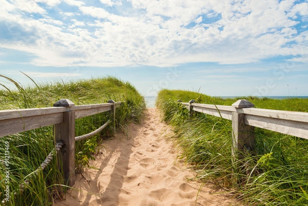 Fototapeta Path to the beach at Basin Head